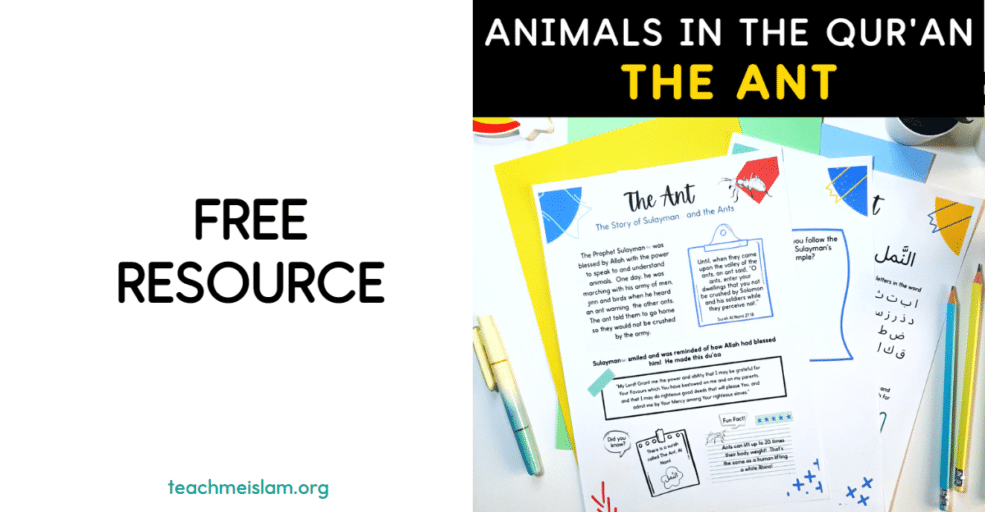 Free ant in the Quran resource with information and activity pages