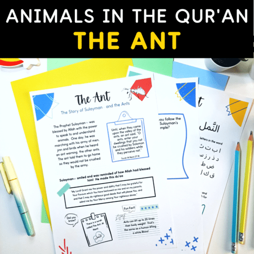 Animals in the Quran Freebie: The Ant